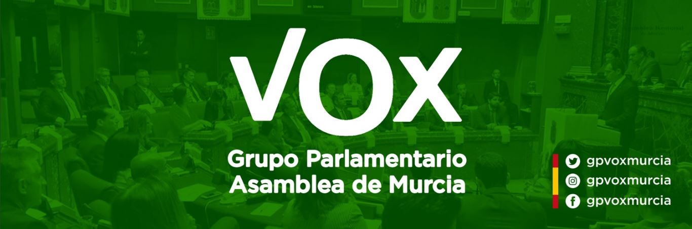 Las redes sociales en la comunicación política del grupo parlamentario Vox Murcia