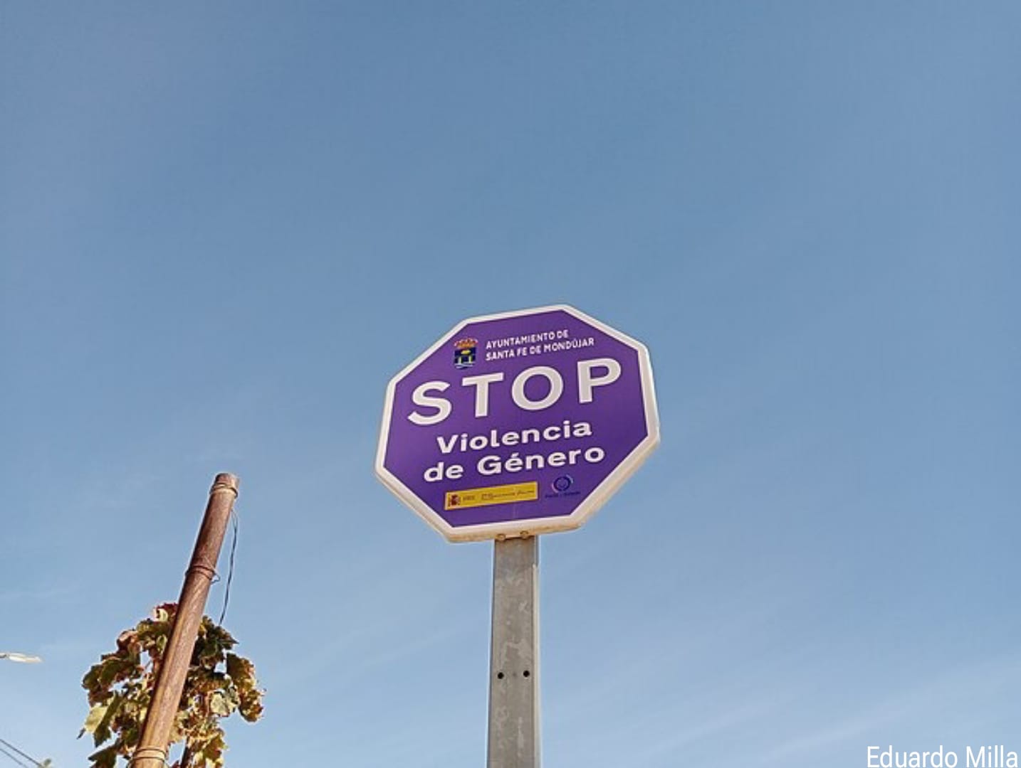 Violencia machista y periodismo digital: cuando el algoritmo juega en contra